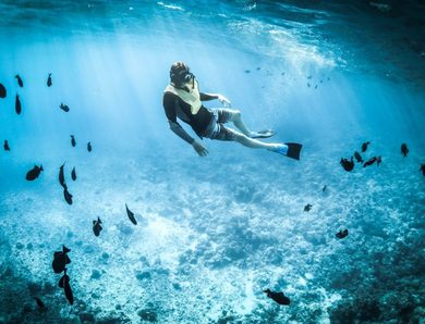 Les Meilleures Destinations Pour Nager Avec Les Poissons