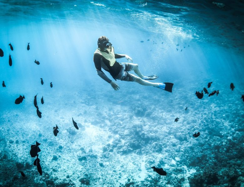 Les Meilleures Destinations Pour Nager Avec Les Poissons
