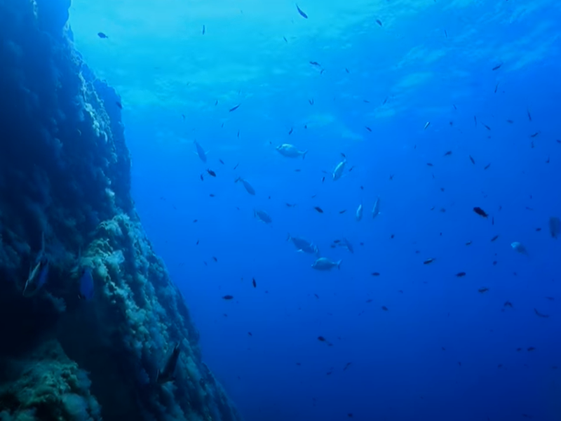 Les 10 meilleurs spots de plongée en Europe