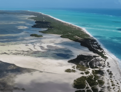 Plonger à Cancun : les meilleurs spots et quand partir ?