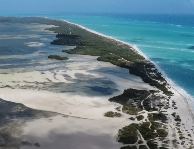 Plonger à Cancun : les meilleurs spots et quand partir ?