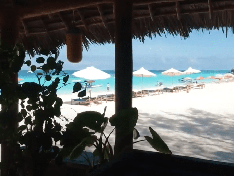 Explorer les fonds marins de Zanzibar : découvrez les meilleurs spots de plongée