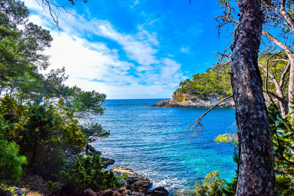 Mer méditerranée plongée