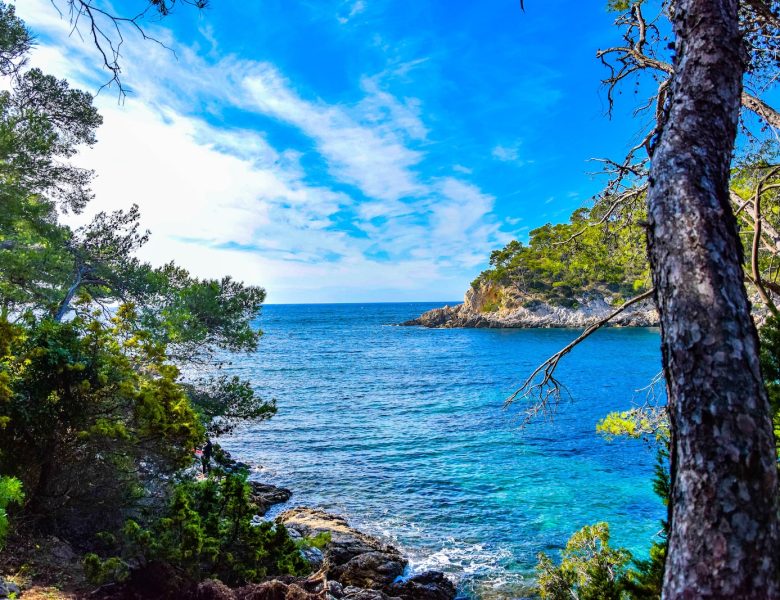 Plongée en Méditerranée : les plus beaux endroits à explorer