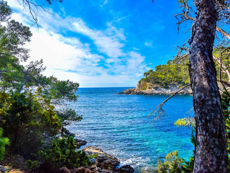 Plongée en Méditerranée : les plus beaux endroits à explorer