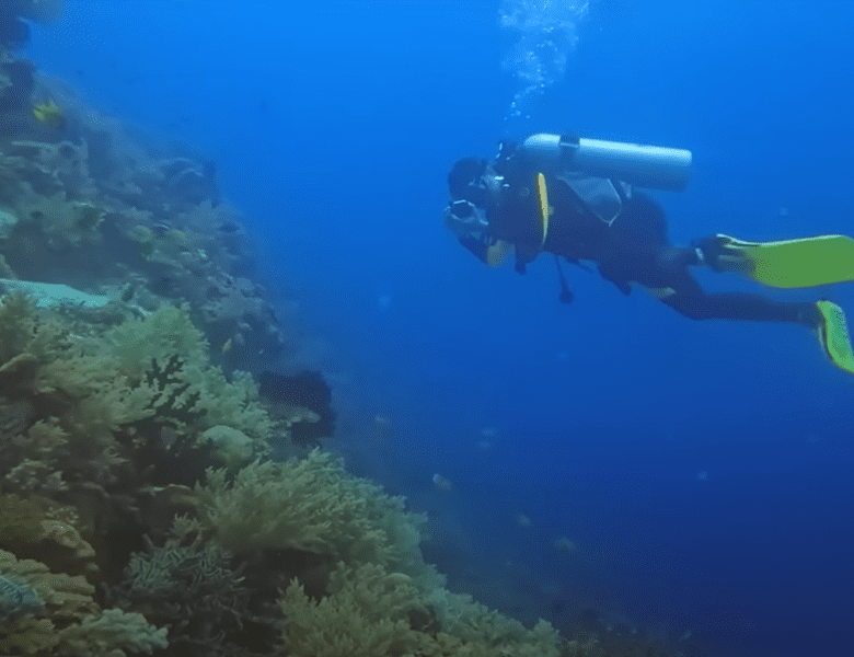 Les niveaux de plongée pour les débutants (PADI)
