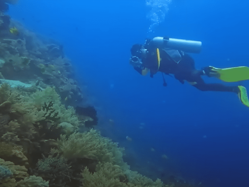 Les niveaux de plongée pour les débutants (PADI)
