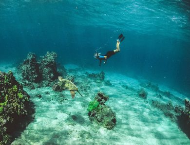 Plongée en Côte d’Azur : Où Faire de l’Exploration Sous-Marine ?