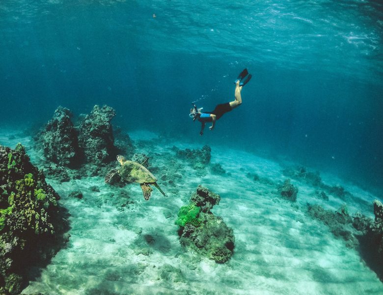 Plongée en Côte d’Azur : Où Faire de l’Exploration Sous-Marine ?