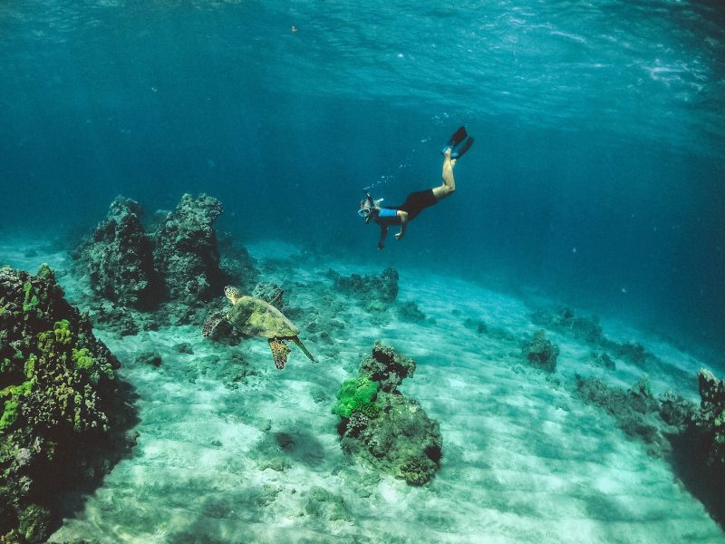 Plongée en Côte d'Azur : Où Faire de l'Exploration Sous-Marine ?