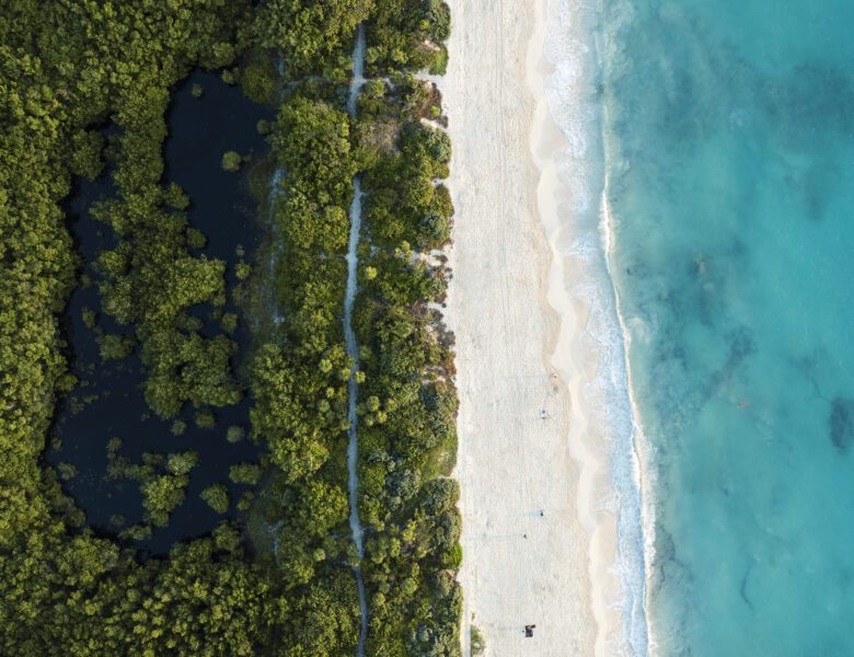 Les meilleurs clubs de plongée à Playa del Carmen