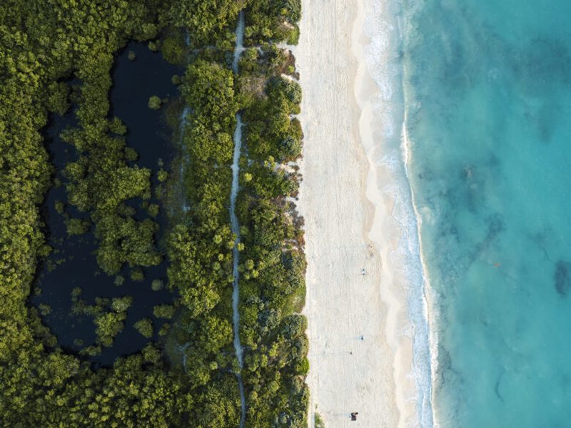Les meilleurs clubs de plongée à Playa del Carmen