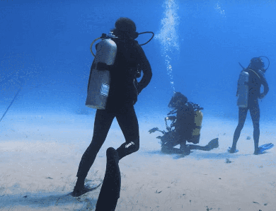 Plongée aux Caraïbes : Découvrez les Magnifiques Sites Sous-Marins !
