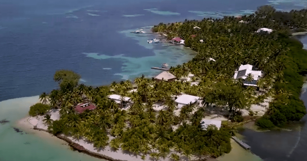 belize corail plongée