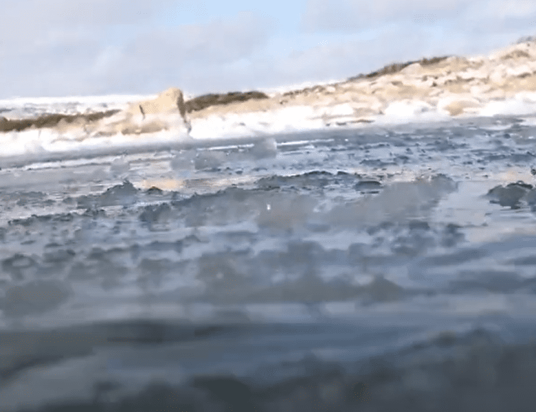 Plonger cet hiver : où aller ?