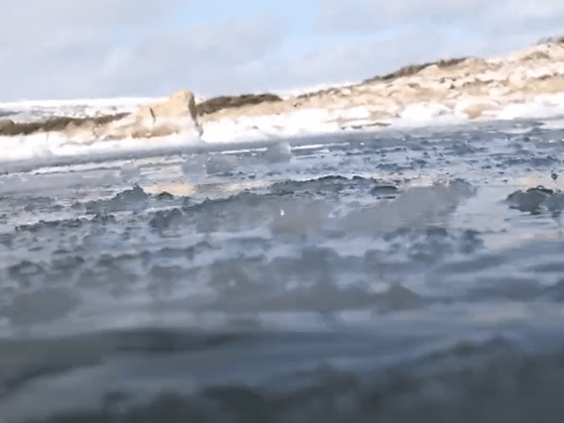 Où aller pour plonger durant cet hiver 2026