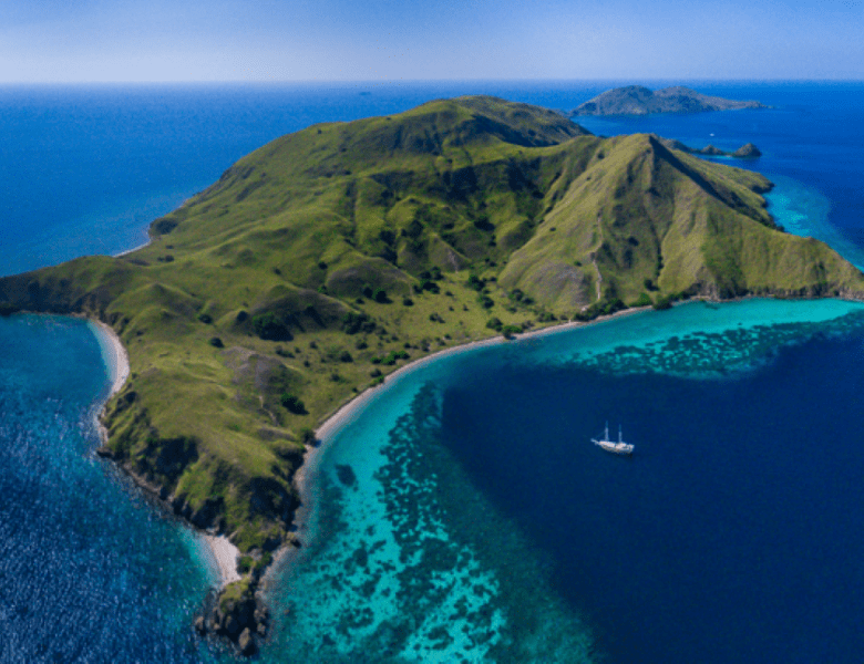 Plongée à l’île de Komodo : raie manta et gros pélagique en Indonésie