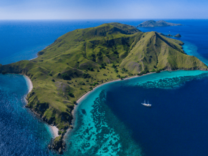 Plongée à l'île de Komodo : raie manta et gros pélagique en Indonésie