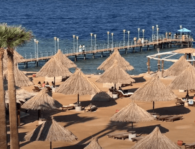 Plonger à Sharm-el-Sheikh : Admirez la Splendeur des Récifs Coralliens !