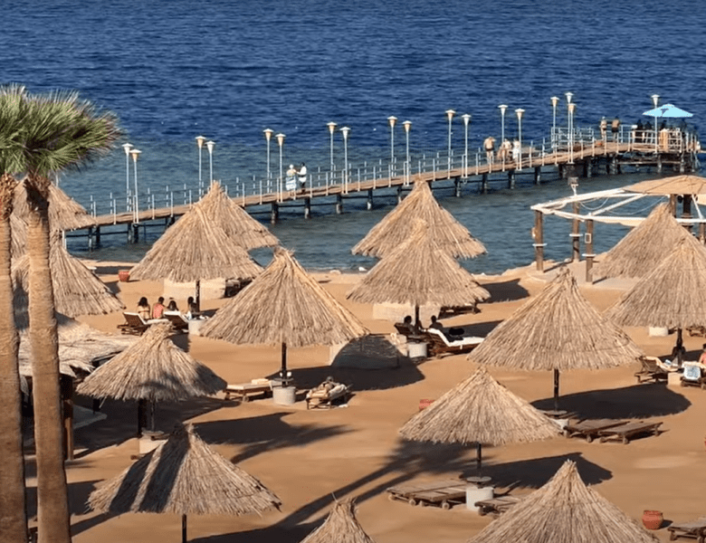 Plonger à Sharm-el-Sheikh : Admirez la Splendeur des Récifs Coralliens !