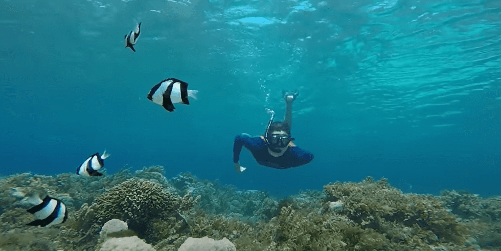 snorkeling philippines coron