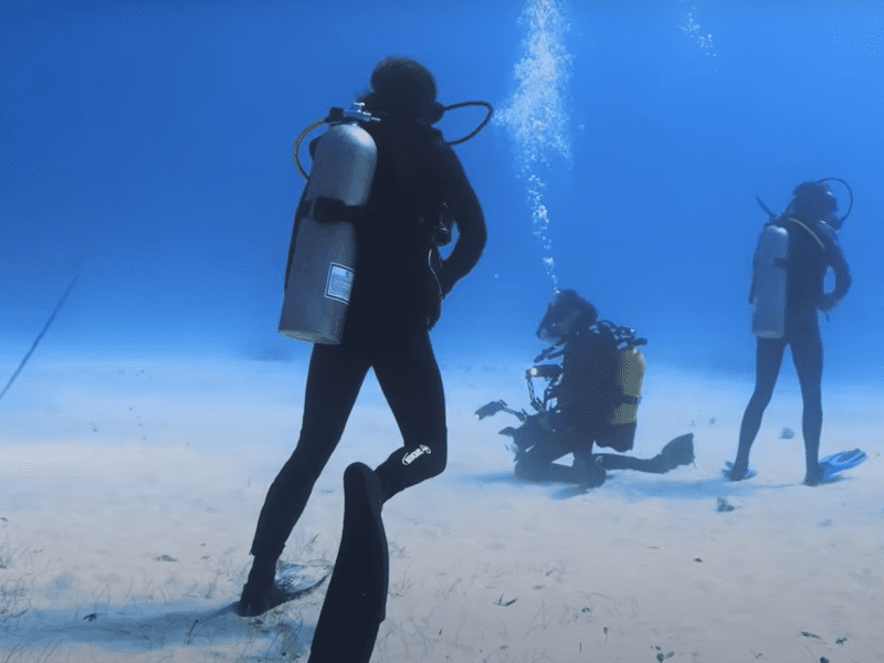 Plongée aux Caraïbes : Découvrez les Magnifiques Sites Sous-Marins !