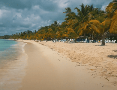 Plonger à Punta Cana : une expérience inoubliable !