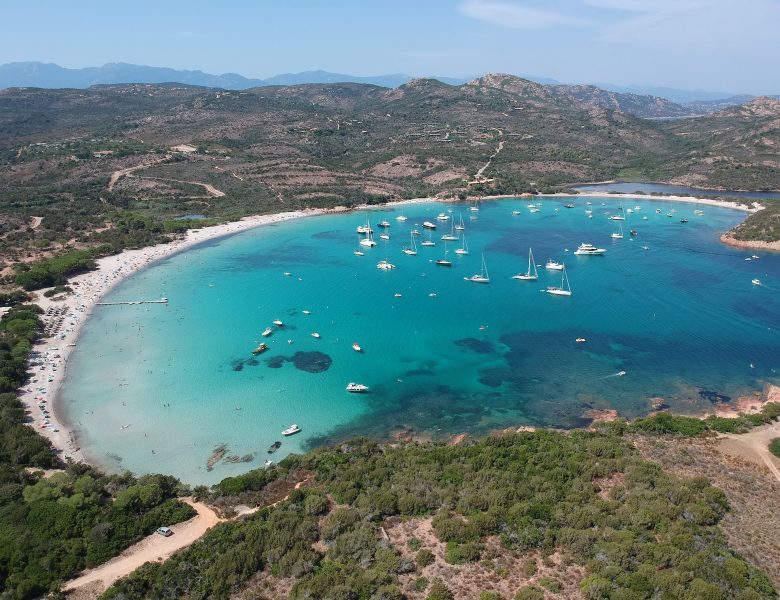 Plonger dans le Sud de la Corse : les meilleurs sites à découvrir