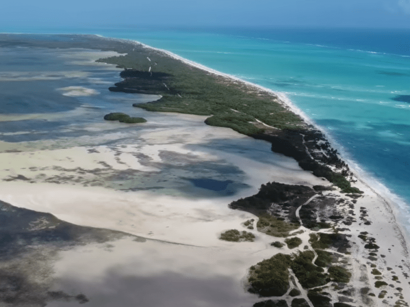 Plonger à Cancun : les meilleurs spots et quand partir ?