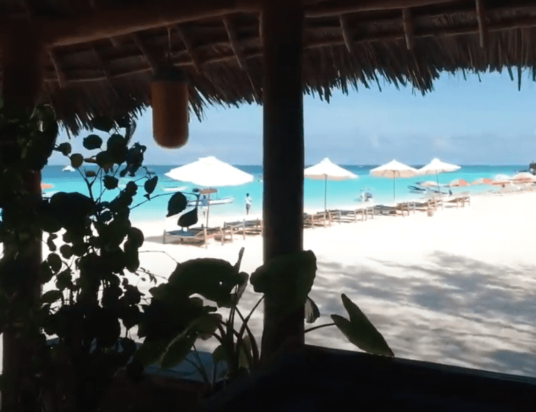 Explorer les fonds marins de Zanzibar : découvrez les meilleurs spots de plongée