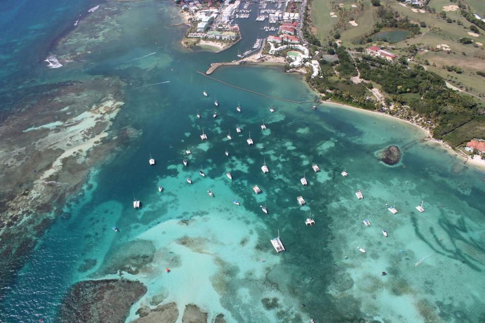 Nord Guadeloupe : plongée à Port-Louis et mangrove