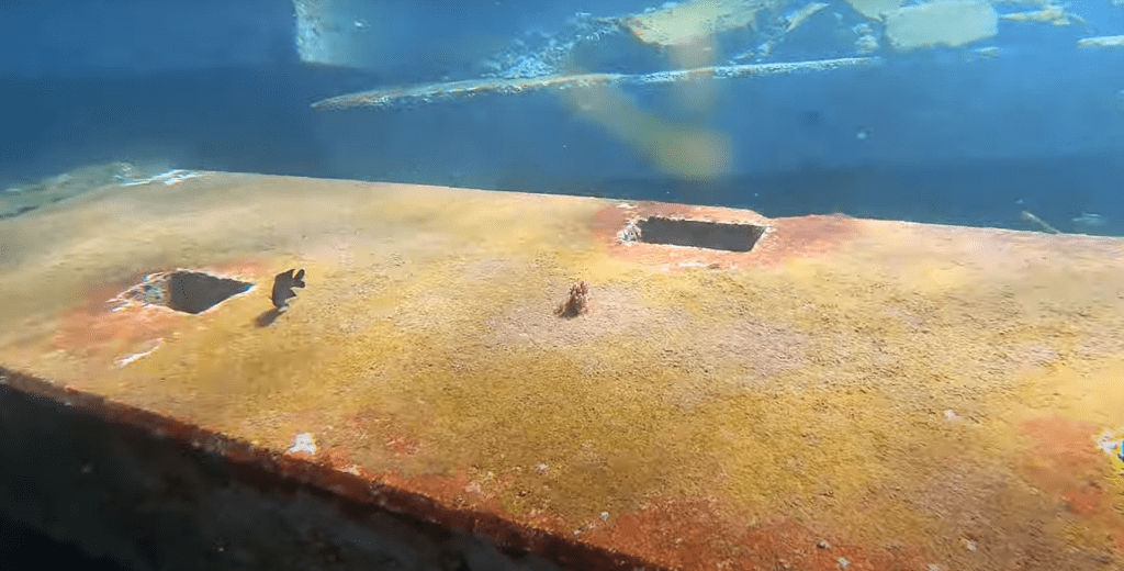 sous marin plongée portugal