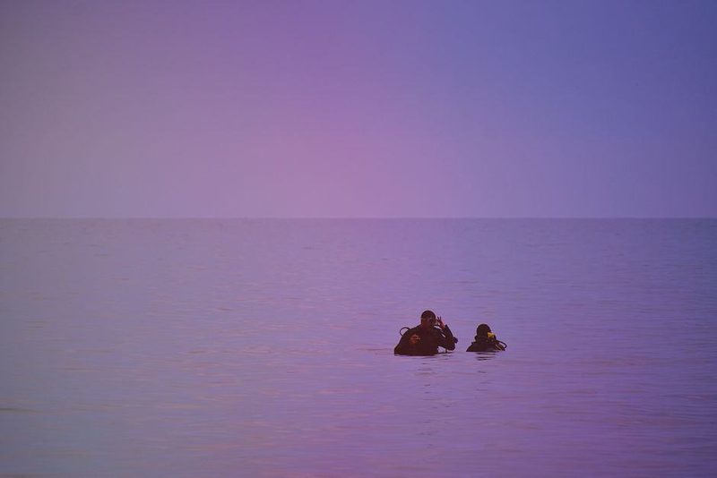 Plonger de nuit, la vie marine qu'on ne croise jamais le jour