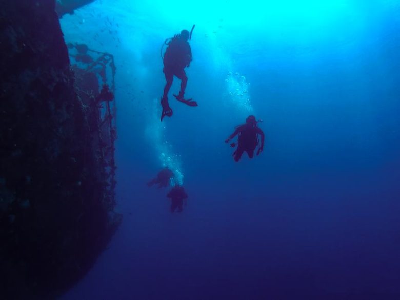 Plonger à Malte, Gozo et Comino, du Blue Hole aux épaves de guerre