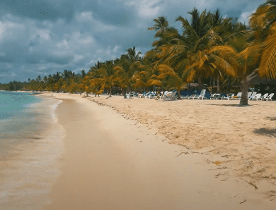 Plonger à Punta Cana : une expérience inoubliable !