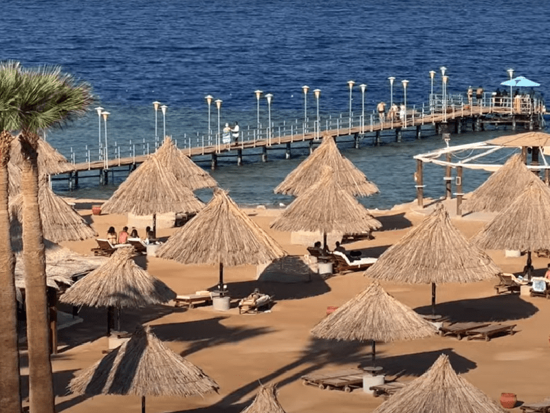 Plonger à Sharm-el-Sheikh : Admirez la Splendeur des Récifs Coralliens !
