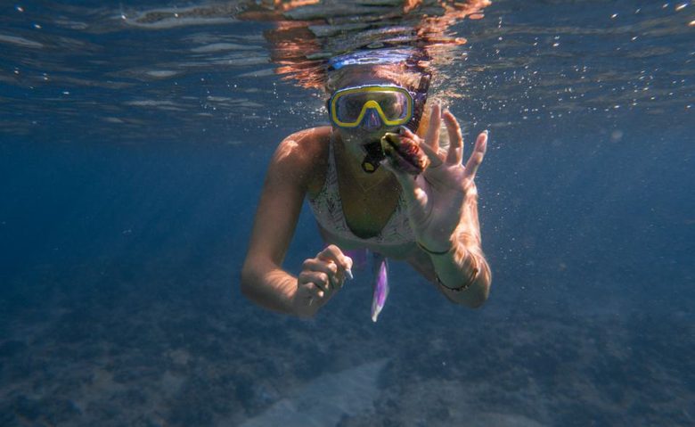Snorkeling en Martinique : explorer les fonds blancs du François